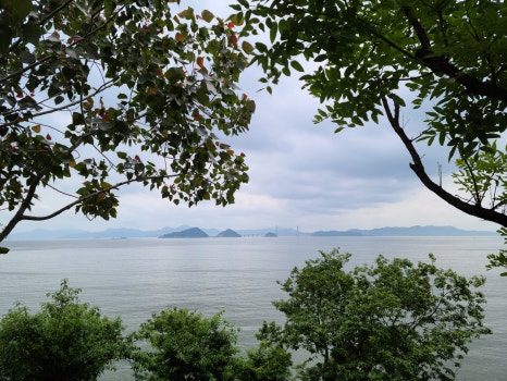 복지무도학원 이미지