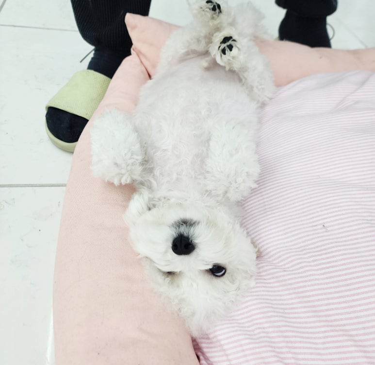 모퉁이옷방 이미지