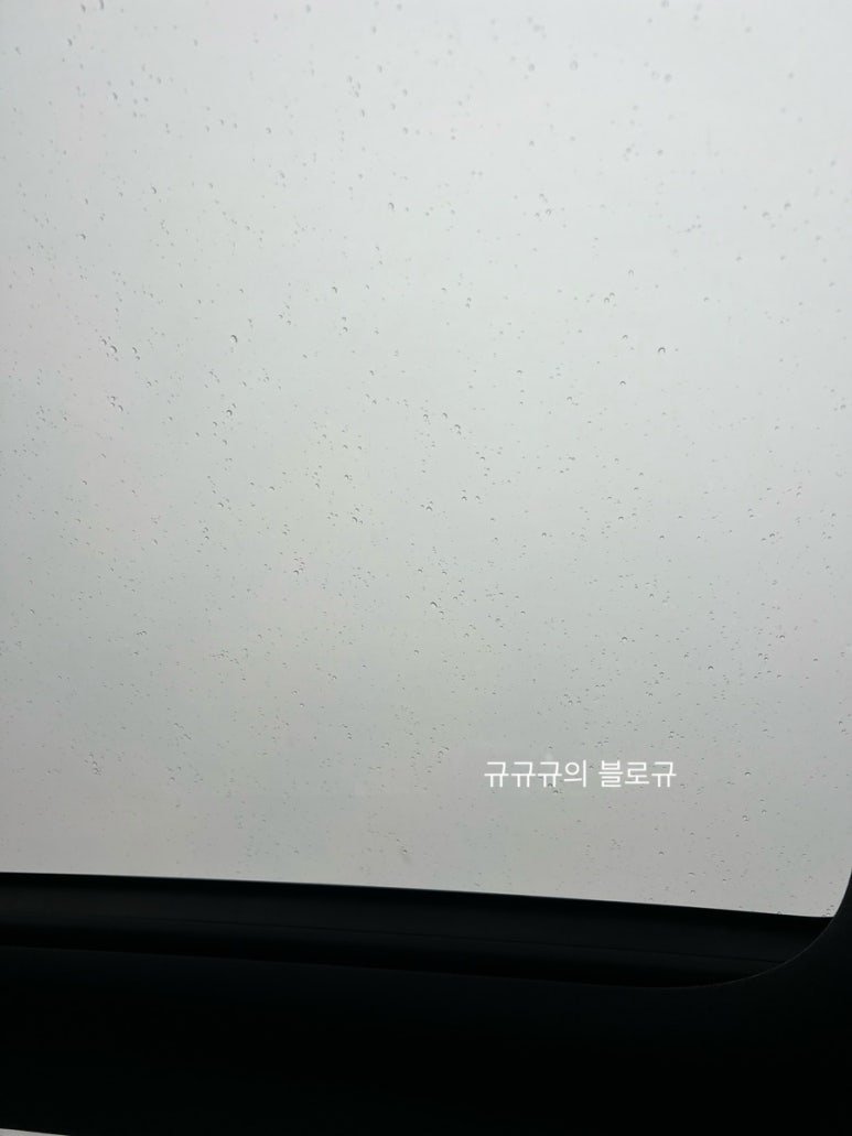 현대막국수 이미지