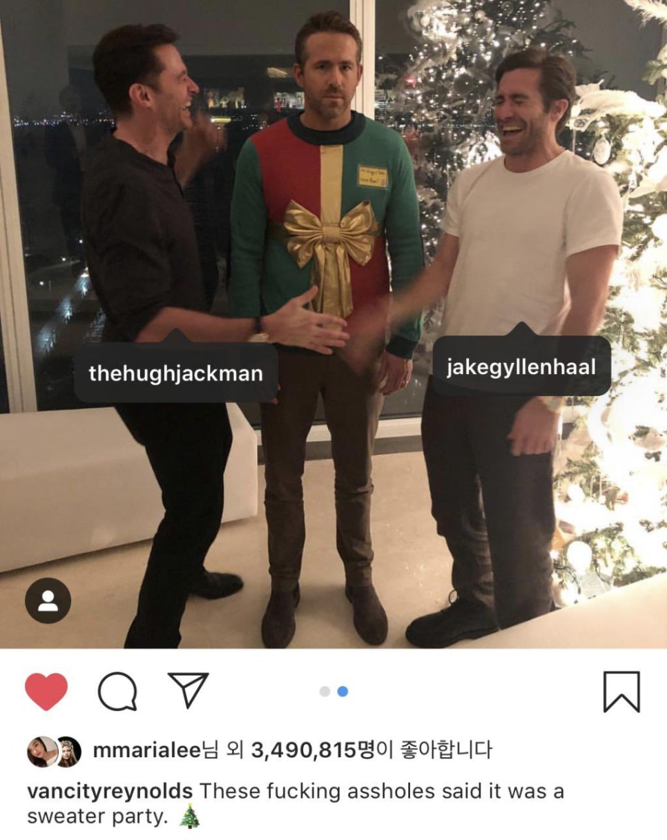 버드글램핑 이미지