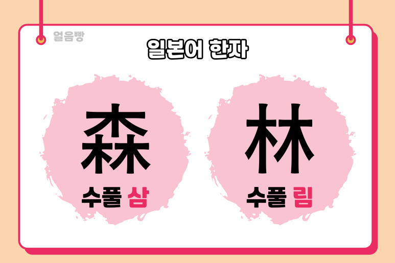수풀삼 이미지