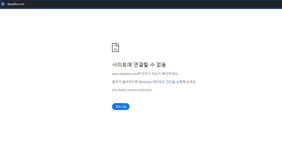 블루컴퓨터 이미지