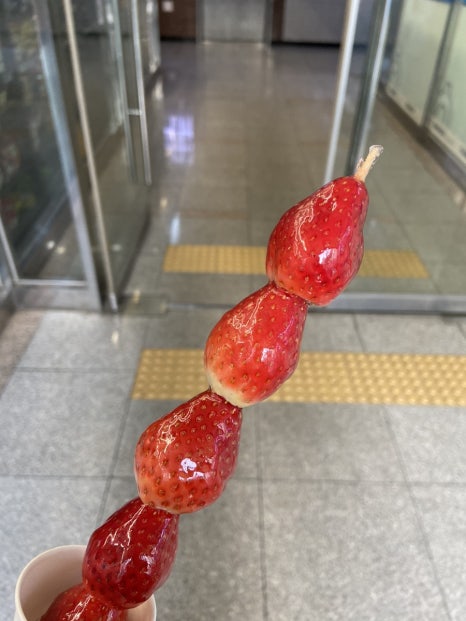 호당탕후루&십원빵 이미지
