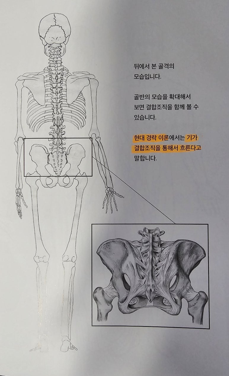 그릴리안 이미지