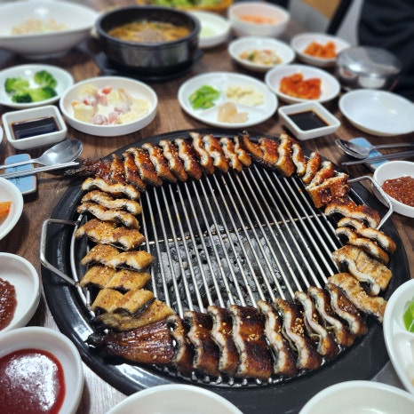 풍천복장어 이미지