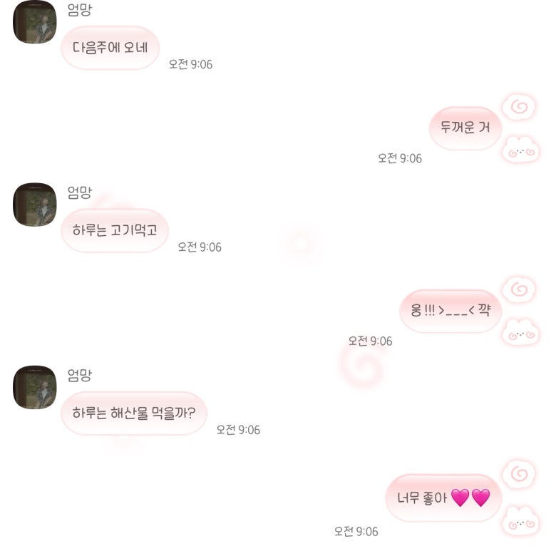 선목여행주 이미지