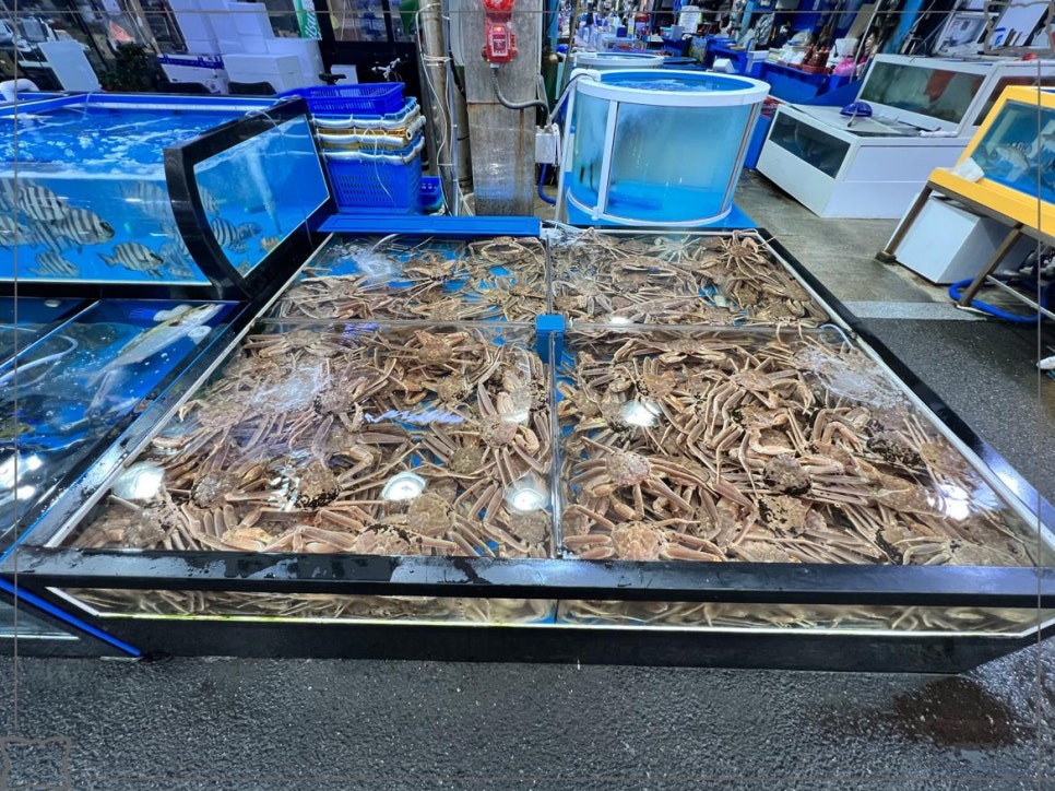 갈릴리대게회식당 이미지