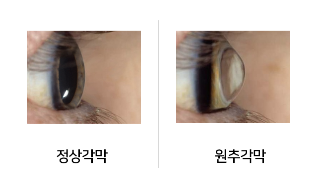 삼계성모안과 이미지