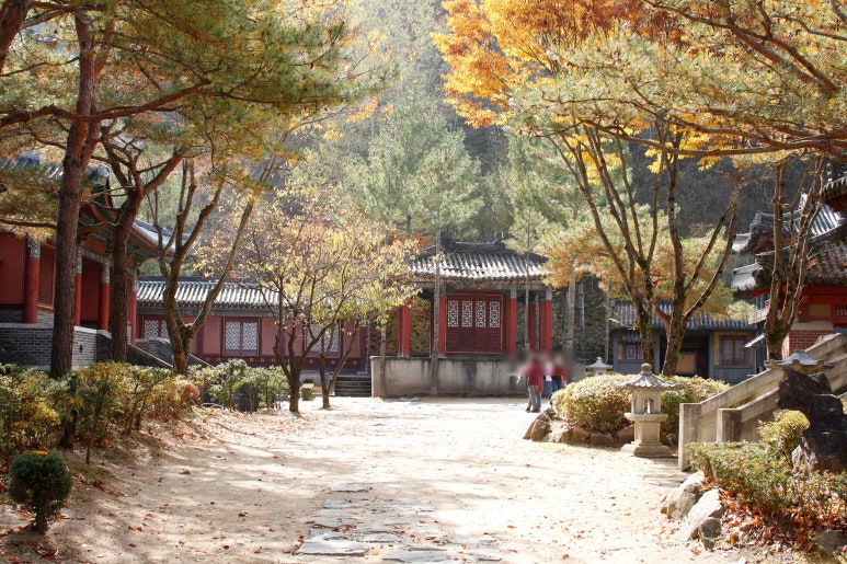 온달 생선구이 이미지