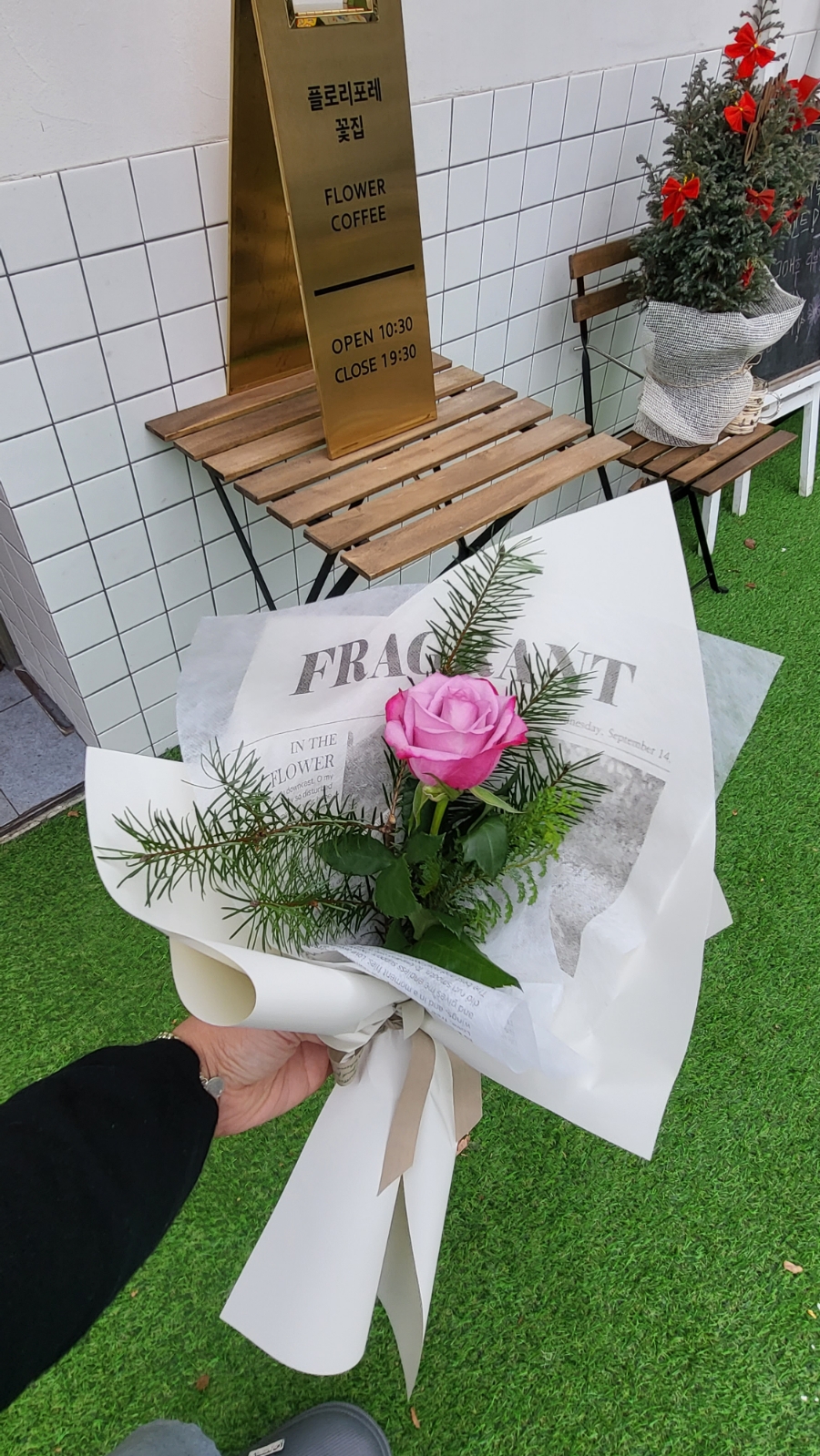 플로리포레 이미지