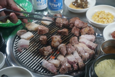 탐라도니 이미지