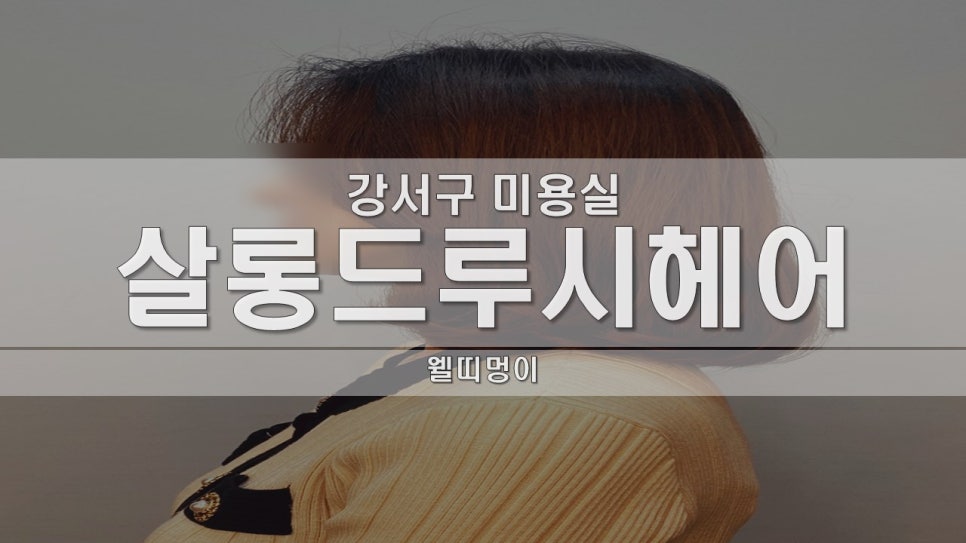 살롱드루시 이미지