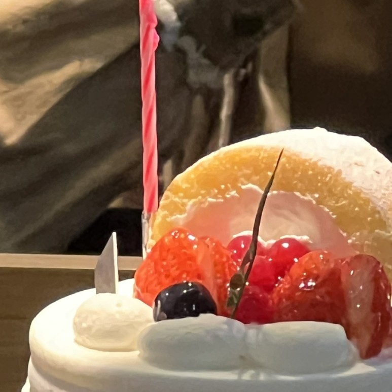 허니모먼트 이미지