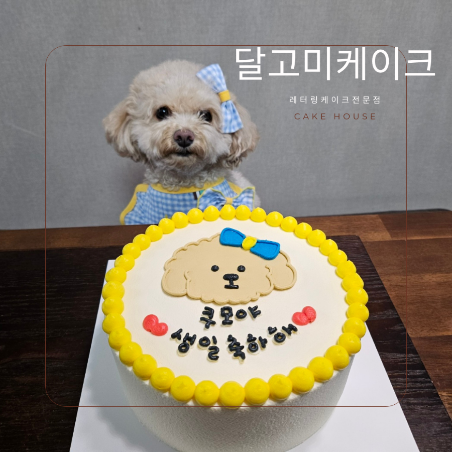 달고미케이크 이미지