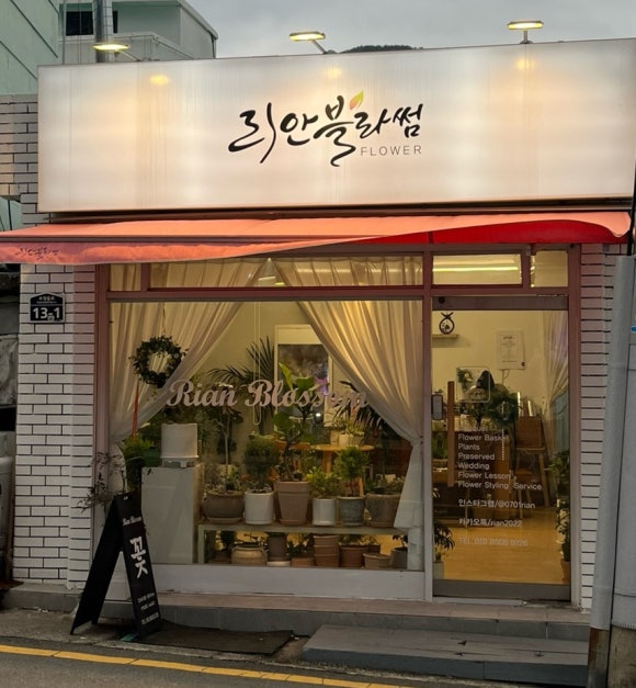 리안블라썸 이미지