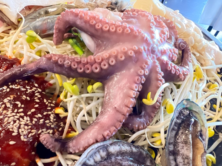엑스포 해물삼합 이미지