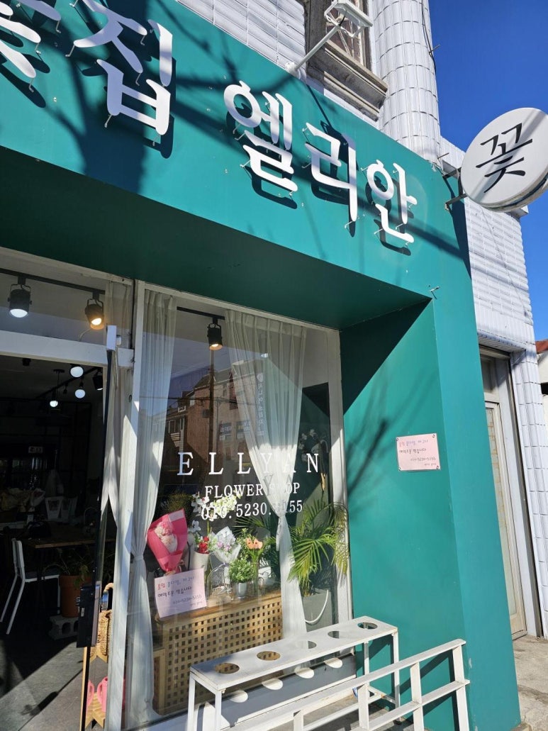 엘리안플라워 이미지