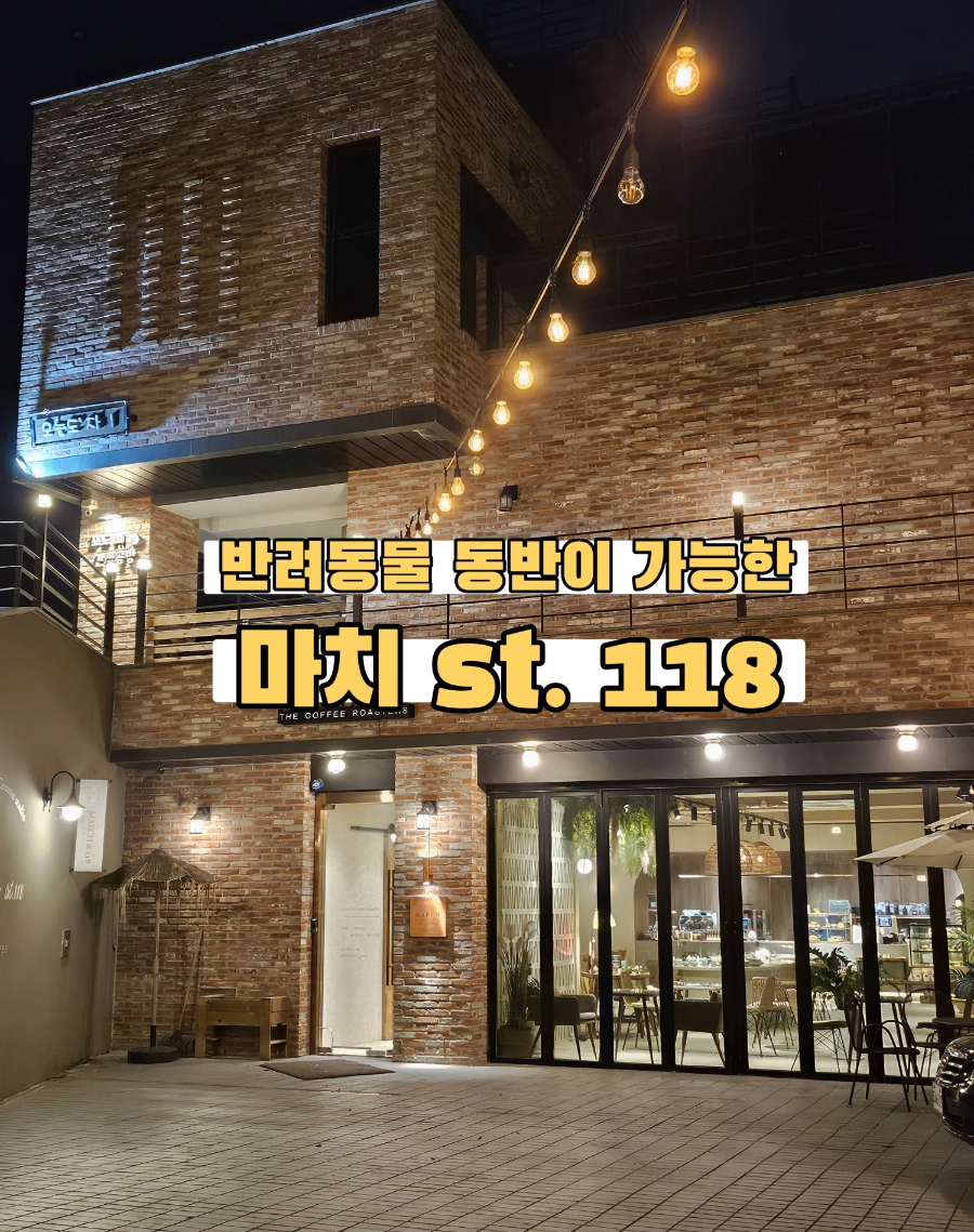 마치st118 이미지