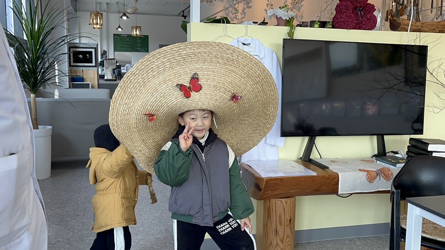 순천곤충박물관 이미지