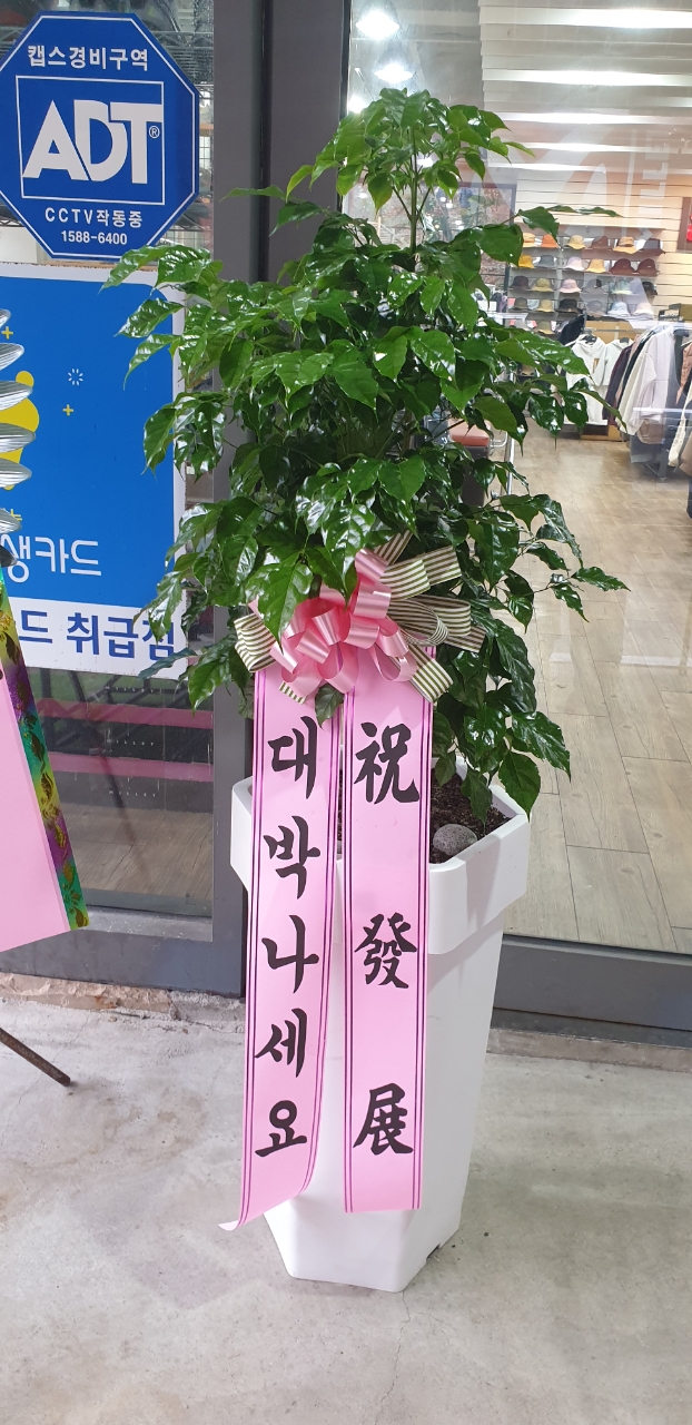 가산식물원 이미지