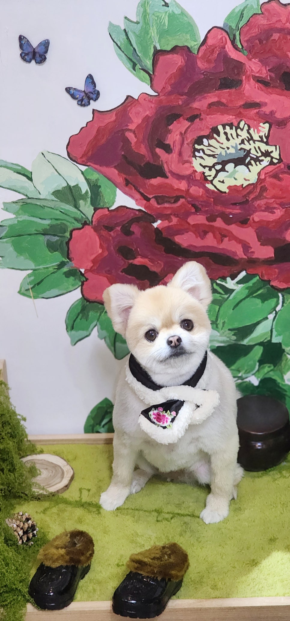 커트1센치 이미지