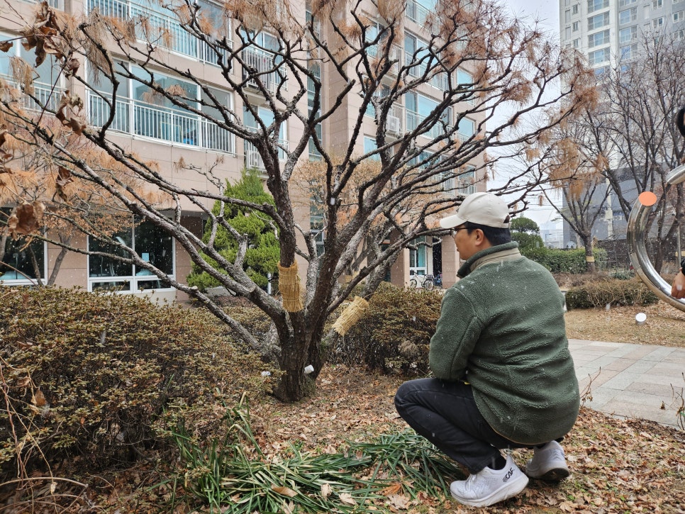 세이브트리엑스퍼트 이미지