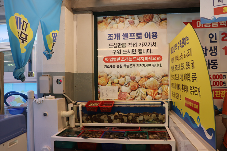 바다나무 이미지