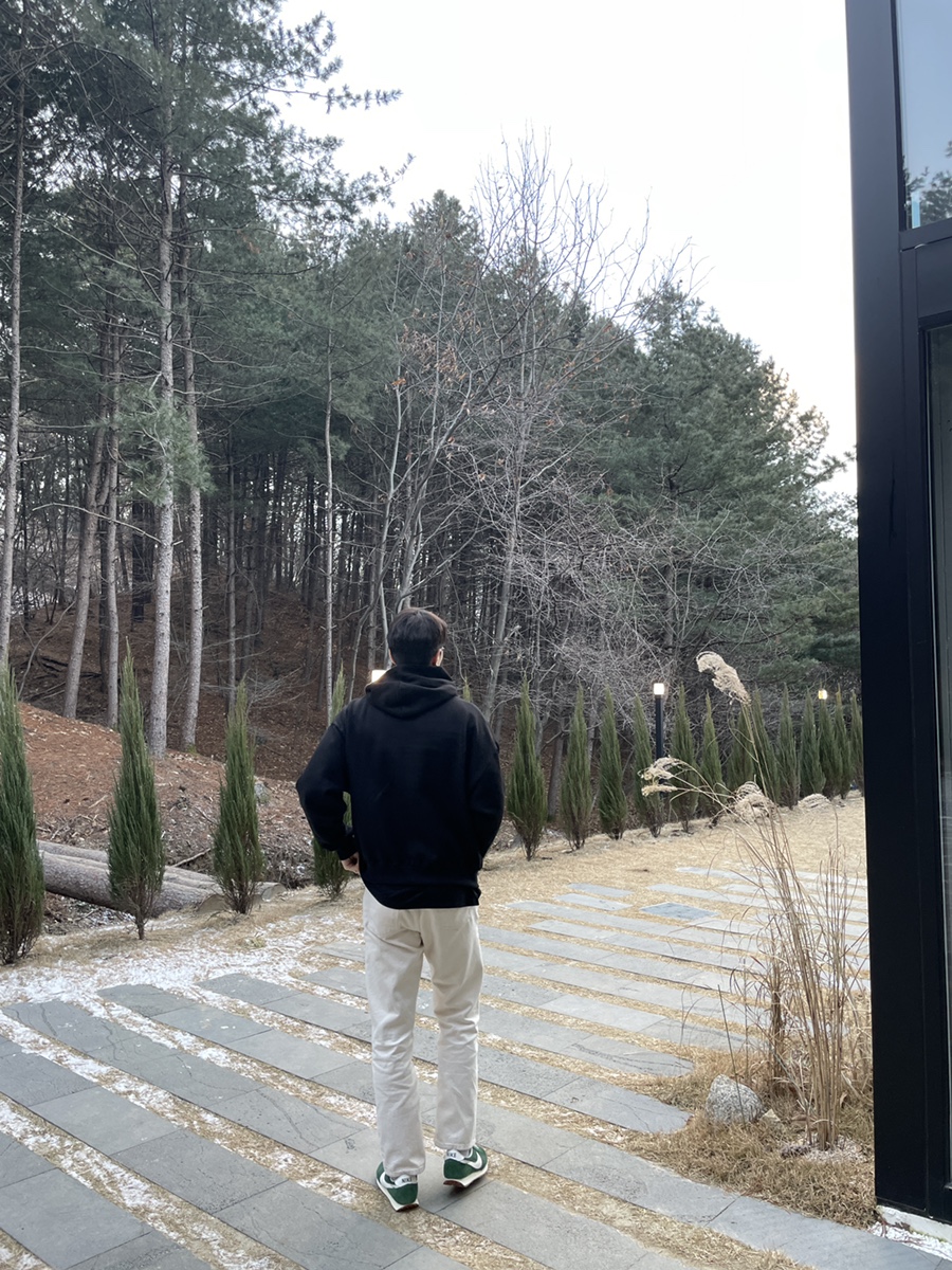 레포레스트(REFOREST) 이미지