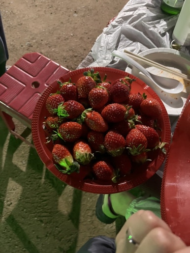 다이뜨라침산 이미지