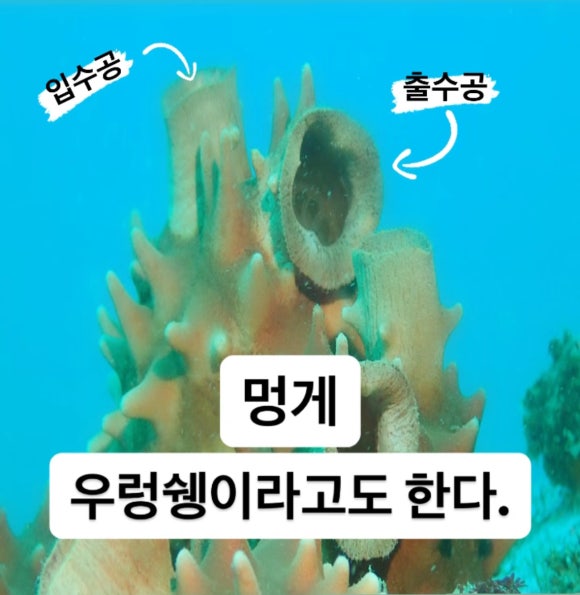 교암다이브리조트 이미지