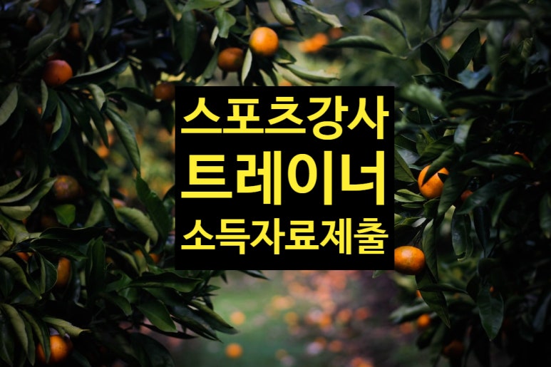 세무법인파인드 이미지