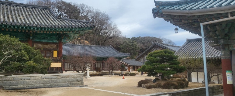 가마솥감자탕 이미지