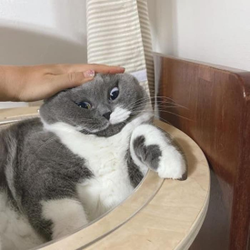 우주환경 이미지