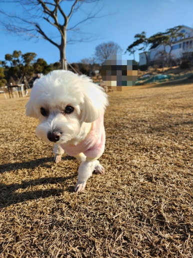 김여사네셀프주유소 이미지