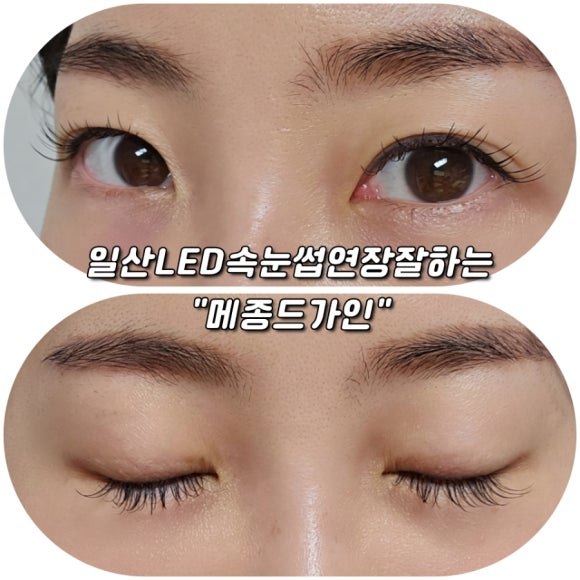 메종드가인 이미지