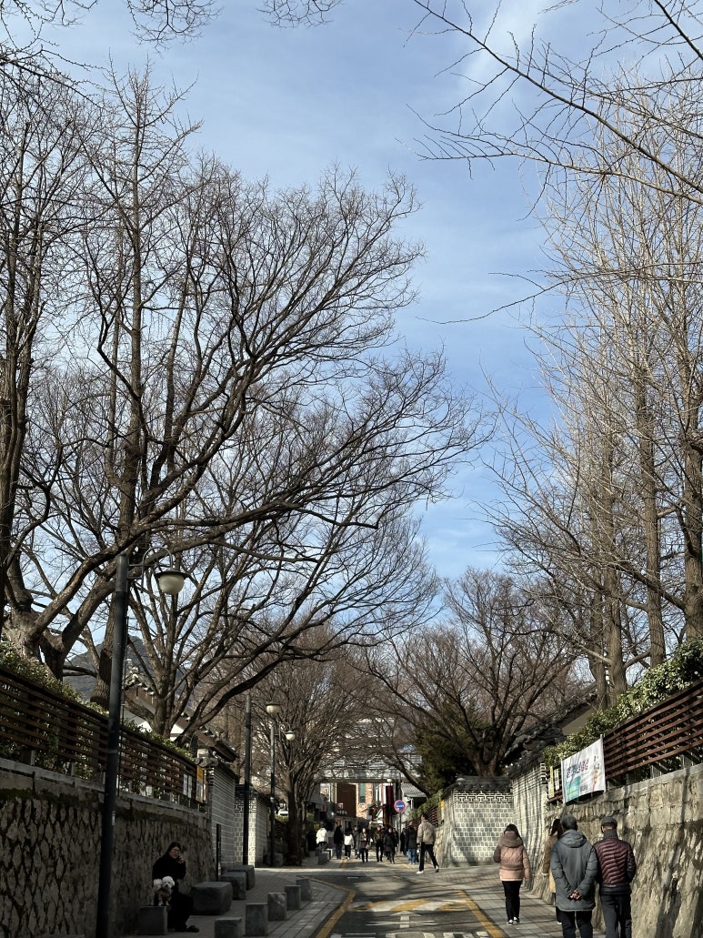 아이엠랑데자뷰북촌매그놀리아점 이미지