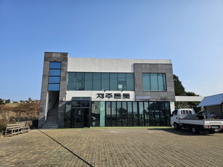 제주돈돗 이미지