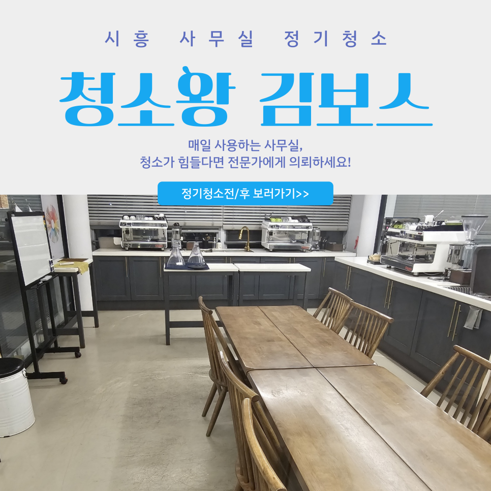 청소왕김보스 이미지