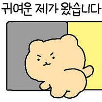 태닝아일랜드 이미지