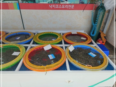 엄청난낙지 이미지