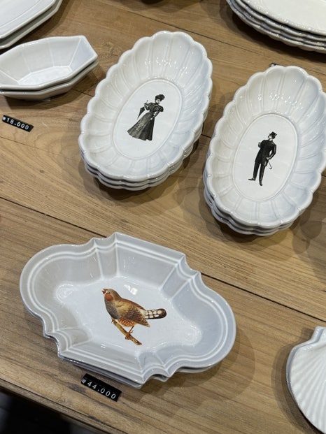 리빙진도 이미지