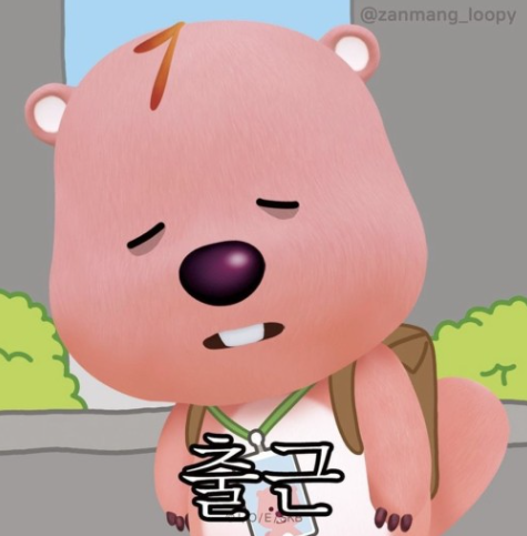 (주)스타갤러리 이미지