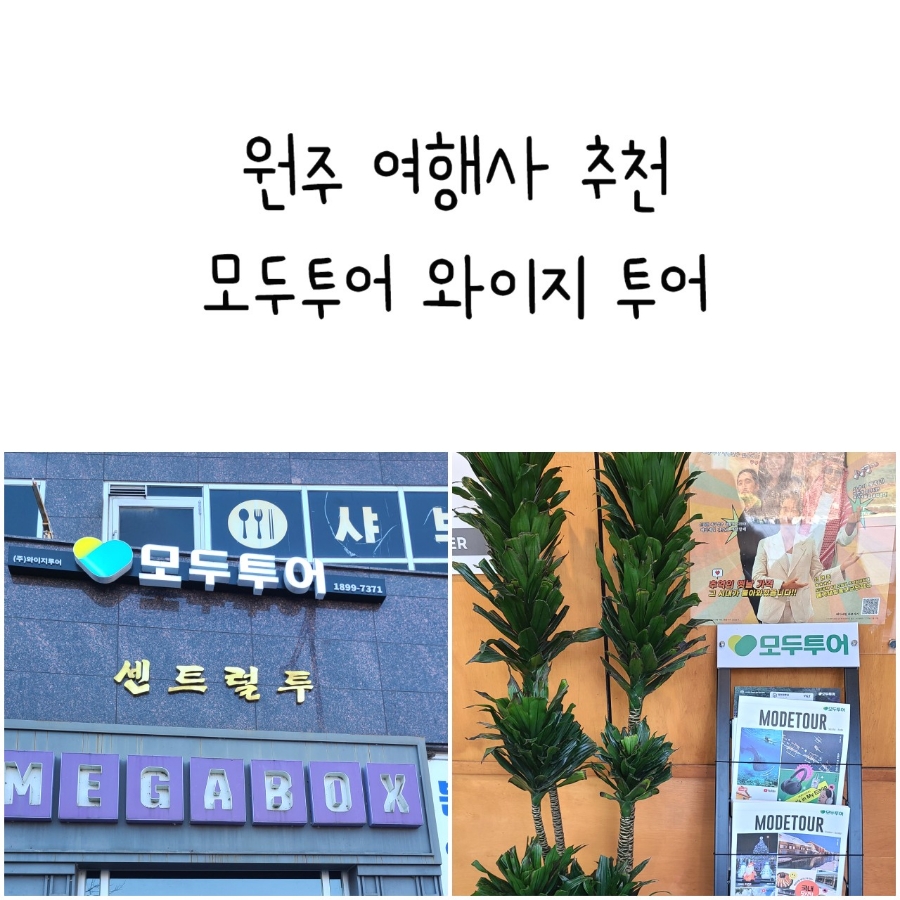 혁신도시여행사 이미지