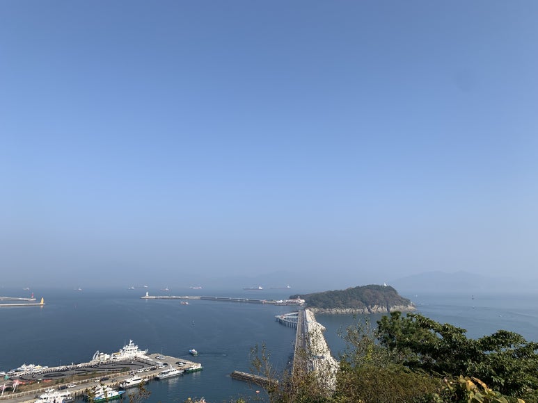 여수달구나 이미지