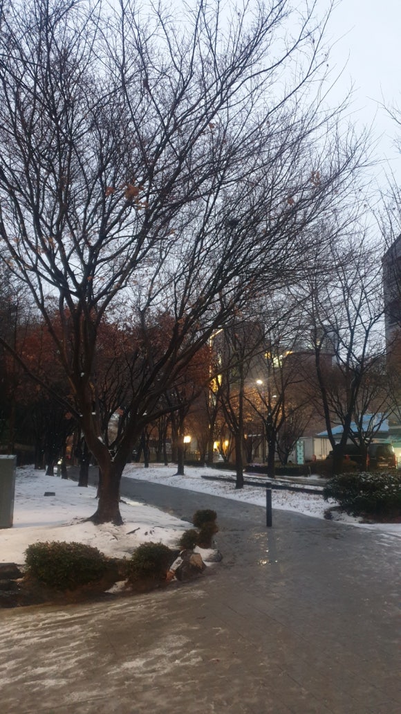 신촌주유소 이미지