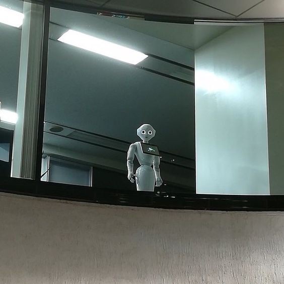 마약양꼬치 이미지