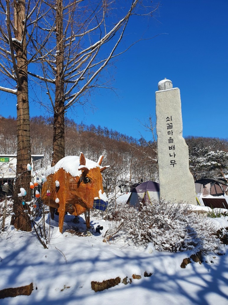 배나무꽃 캠핑장 이미지