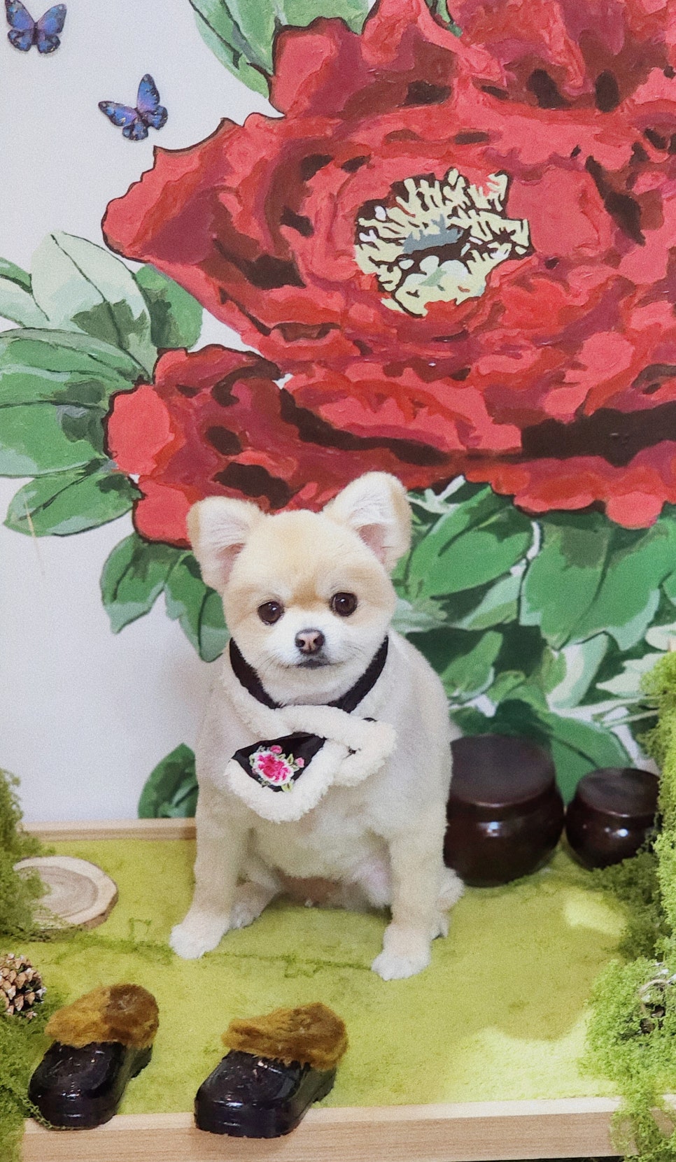 커트1센치 이미지