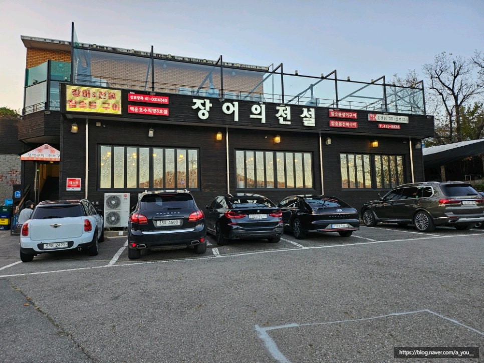 장어의전설 이미지