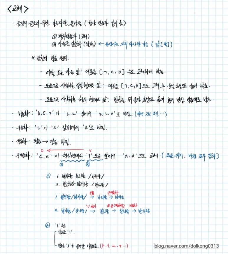 밭이랑반니랑 이미지